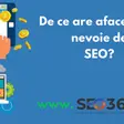Seo 365