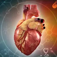 Anatomie și fiziologie cardiacă