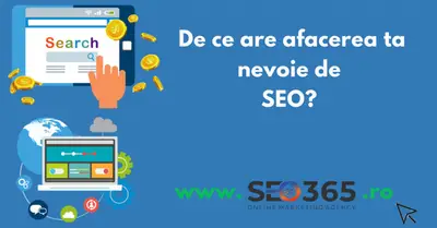 Seo 365